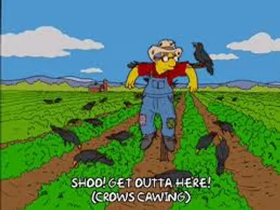 Illustration shoo - Image 2