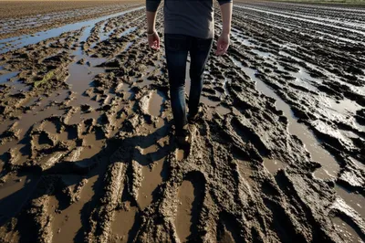 Illustration reproving - Image 1