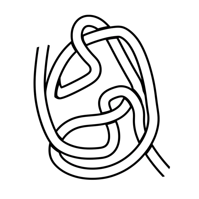 Visual illustration of dao: A closed path, without repeated vertices allowed - Image 1