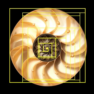 Illustration phi - Image 1