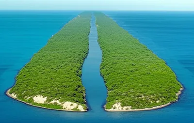 Illustration isthmus - Image 1