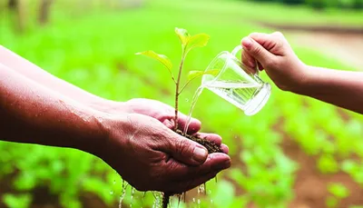 Illustration servants - Image 1