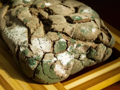 Illustration steles - Image 1