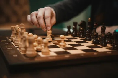 Illustration generals - Image 1