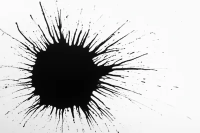 Illustration brand - Image 1