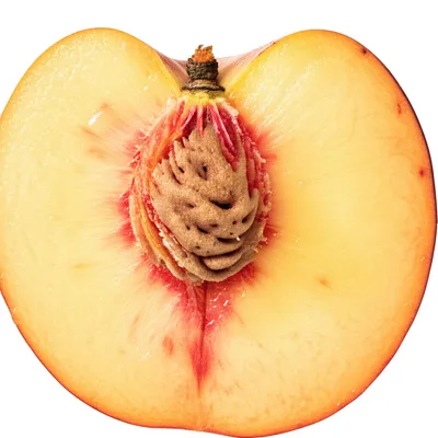 Illustration clings - Image 1