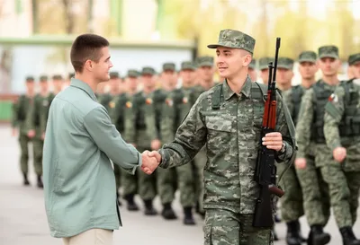 Illustration substitute - Image 1