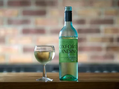 Illustration sauvignon - Image 2