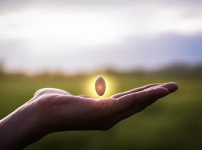 Illustration offering - Image 1