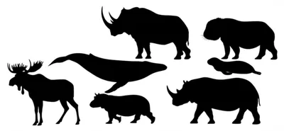 Illustration cow - Image 1