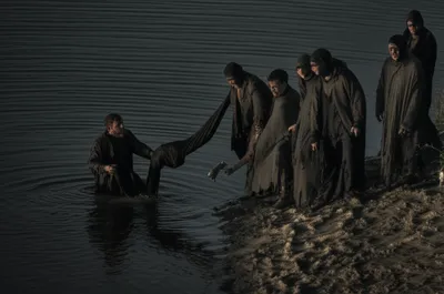 Illustration badger - Image 1