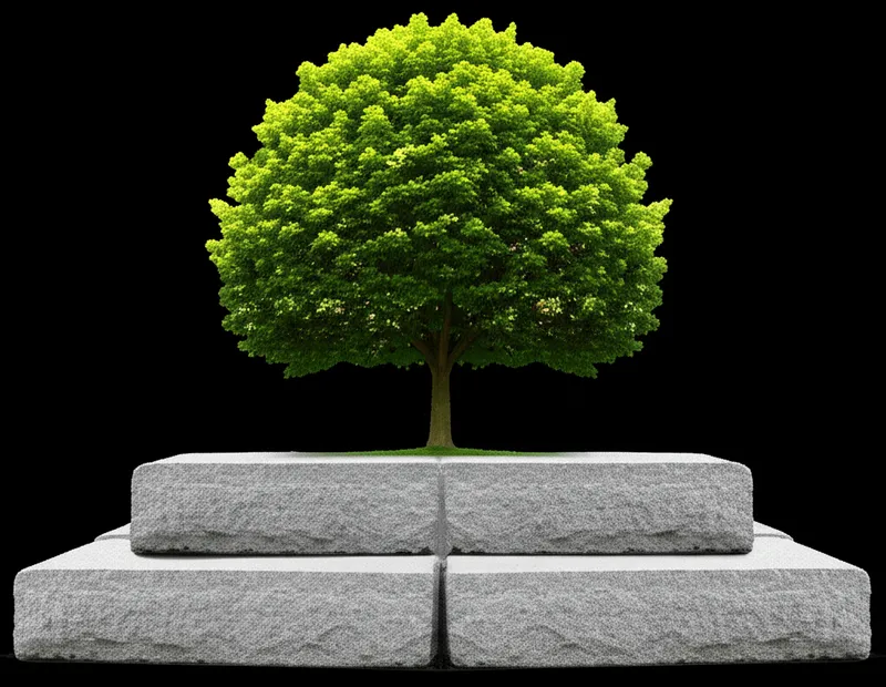 Visuelle Darstellung für das Wort „fundament" - Fundament, Grundlage