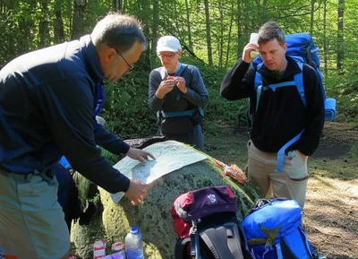 Illustration regroup