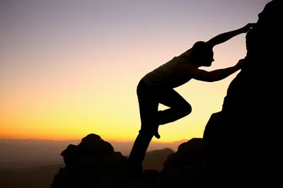 Illustration humps - Image 1