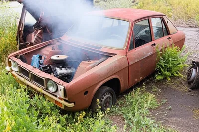 Illustration busted - Image 1