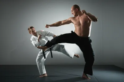 Illustration jujutsu - Image 1