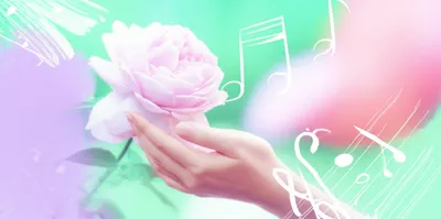 Illustration sensibilities - Image 1