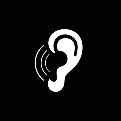 Illustration shell - Image 2