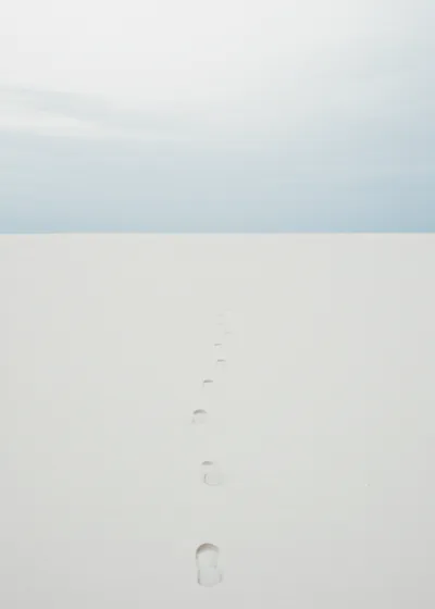 Illustration erasures - Image 1