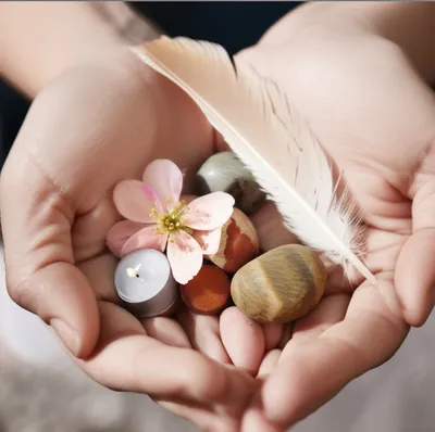 Illustration nests - Image 1