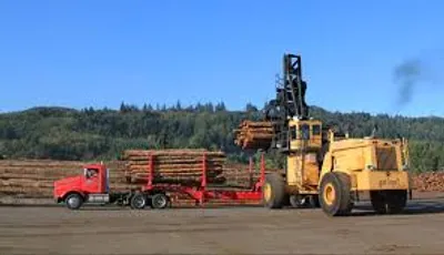 Illustration yard - Image 3