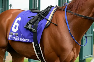 Illustration weights - Image 1