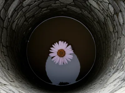 Illustration lo - Image 1