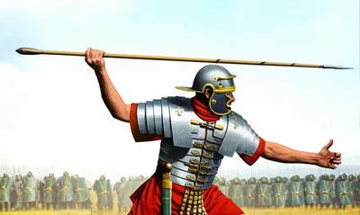 Illustration spicula - Image 1