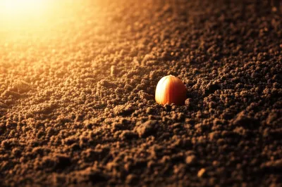 Illustration saw - Image 1