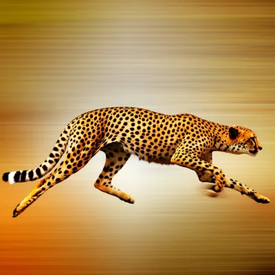 Illustration driven - Image 1