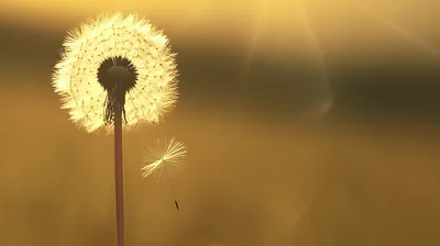 Illustration drifting - Image 1