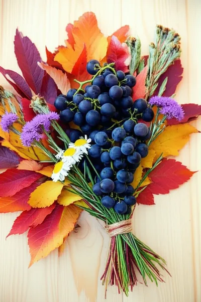 Illustration bunching - Image 1