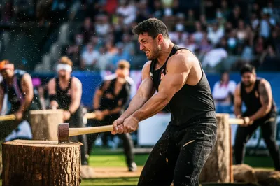 Illustration chop - Image 1