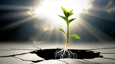 Illustration fights - Image 1