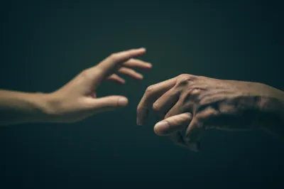 Illustration sympathies