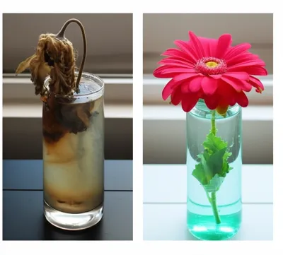 Illustration dissatisfy