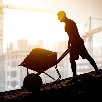 Hình ảnh minh họa laborers
