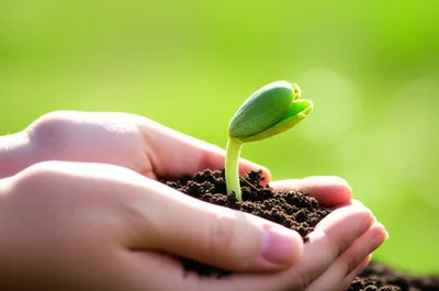 Illustration cares - Image 1