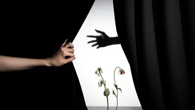 Illustration disavows - Image 1