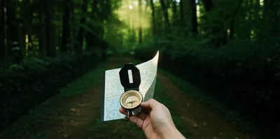 Illustration orientate - Image 1