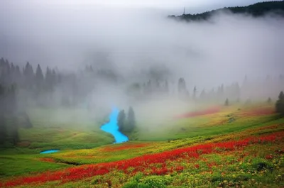 Illustration leaden - Image 1