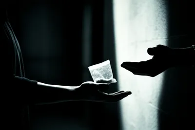 Illustration trap - Image 1