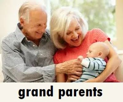 Illustration grand - Image 4