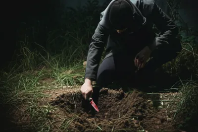 Illustration fact - Image 1