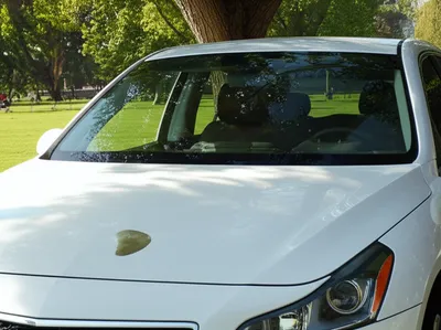 Illustration muting - Image 1