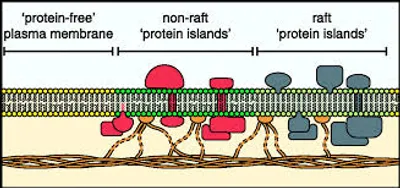 Illustration island - Image 3