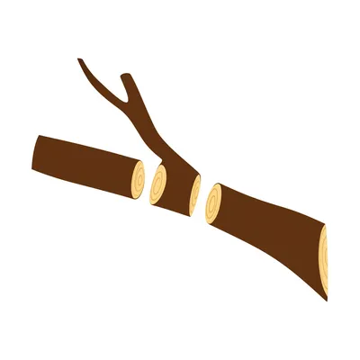 Illustration joint - Image 1