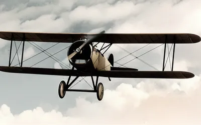 Illustration scouts - Image 1