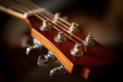 Illustration tuners - Image 1