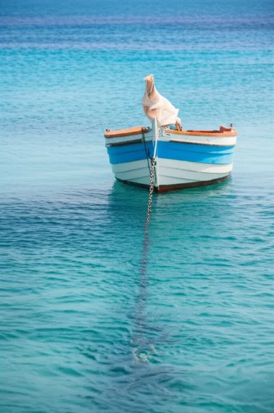 Illustration clubbed - Image 1